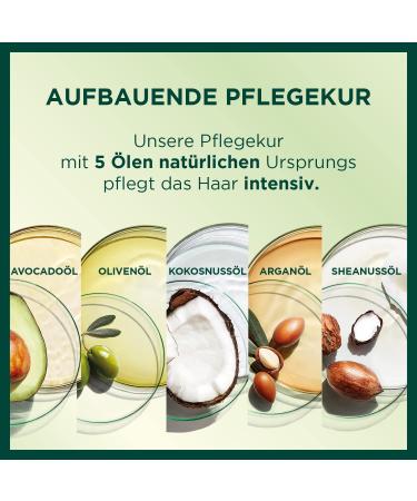 Garnier Nutrisse Permanent Hair Color - Bright Amber 64 (3 Pack) | Nourishing Color with 5 Oils - International Shipping - Buy Online on GoSupps.com