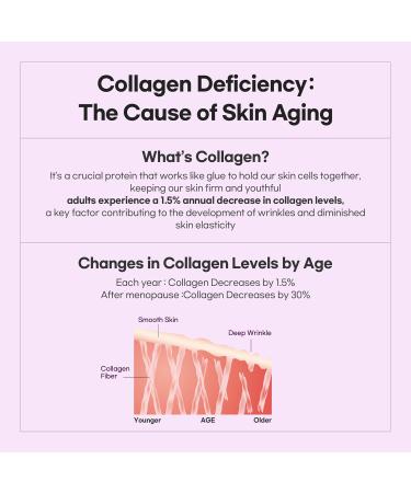 Phyto Collagen Moisturizer - Anti-Aging Night Cream for Firming & Smoothing - Plant-Based Collagen for Radiant Skin - 1.69 fl. oz - Buy Online on GoSupps.com