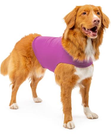 Mellow Shirt Dog Anxiety Calming Wrap - Medium (26-40 lb) Radiant Orchid - Buy Online on GoSupps.com