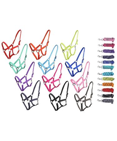 netproshop Halter or lead rope single color for your darlings Mini Shetty up to XL Full Size:Full Color:Orange Full Orange