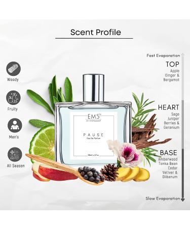 Pause Perfume for Men | Eau de Parfum (EDP) | Strong and Long Lasting Spray | Aromatic Fresh Amber | Luxury Gift for Men | 50 ml - Buy Online on GoSupps.com