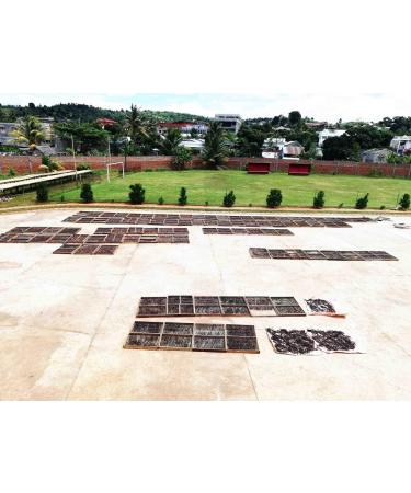 100% Natural Bourbon Vanilla Powder from Madagascar - 20gr Net Ground Whole Vanilla Pod - Buy Online on GoSupps.com