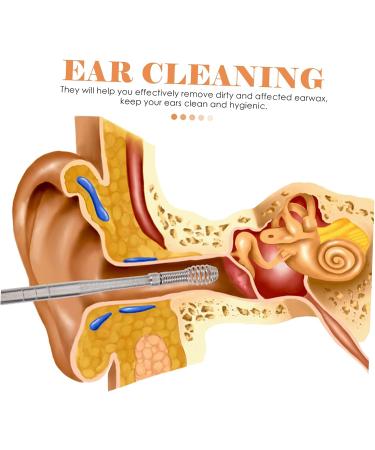 SEWOART 3 Sets Stainless Steel Ear Pick & Face Scraper Tool Set for Earwax Removal and Cleaning - Buy Online on GoSupps.com