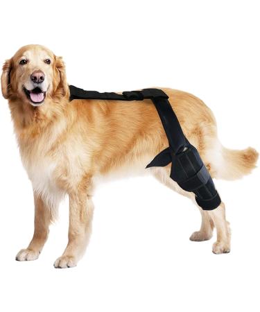 Dog Knee Brace | Professional Knee Support Brace Neoprene Hip Brace Support Dog Knee Brace Adjustable Traction Belt for Cruciate Ligame for Cruciate Ligament Injury for Torn ACL Leg L left - Buy Online on GoSupps.com