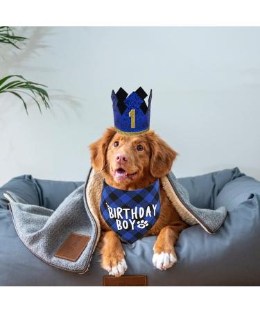 Dog Birthday Party Accessories - Reusable Bandana & Blue Crown for Small to Medium Dogs & Cats - Perfect Pet Outfits & Party Decorations - Buy Online on GoSupps.com