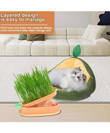 Yidm Cat Grass Germs - 2 Pack Carrot Shaped Cat Grass Planting Box | Hydroponic Indoor Garden Kit for Cats & Dogs - Buy Online on GoSupps.com
