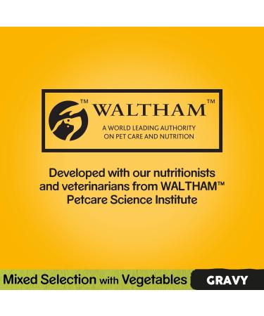 Pedigree Mixed Selection in Gravy 40 Pouches Adult Wet Dog Food Megapack (40 x 100 g) Adult Mixed Selection in Gravy 100 g (Pack of 40) - Buy Online on GoSupps.com
