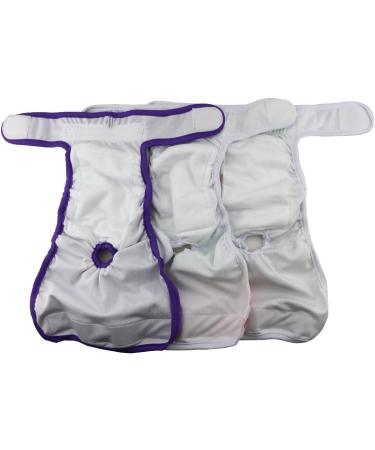 Hisprout Reusable Female Dog Diapers | Washable Durable Pants in Colorful Union | Size MM - Shop Now! - Buy Online on GoSupps.com