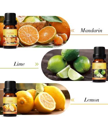 Salubrito Citrus Essential Oils Set - Sweet Orange, Bergamot, Lemon, Grapefruit - Set of 6 for Diffuser, Soap, Candle, Slime - Buy Online on GoSupps.com