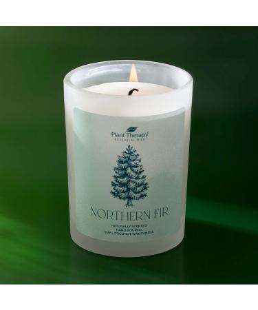 Buy Plant Therapy Northern Fir Candle - 8 oz Hand-Poured Coconut & Soy Wax Refreshing Forest Scent Frosted White Jar with Wooden Lid - International Shipping Available - Buy Online on GoSupps.com