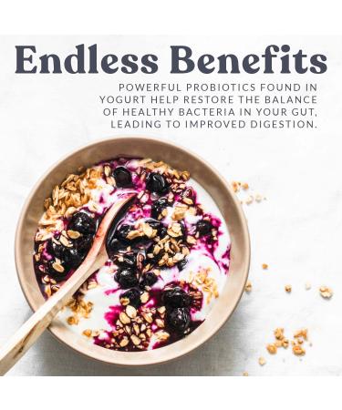 Cultures For Health Piima Yogurt Starter Culture - Homemade Creamy Probiotic-Rich Yogurt | Gluten-Free, Non-GMO | Create in 2 Days - Buy Online on GoSupps.com