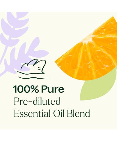 Plant Therapy Meditation Essential Oil Blend Pre-Diluted Roll-On 100 mL (1 oz) 100% Pure Pre-Diluted Calming Aromatherapy for Yoga Mediation and Self Care - Buy Online on GoSupps.com