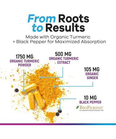 Turmeric Supplement Curcumin 2350mg - 95% Curcuminoids with Organic Ginger & Turmeric BioPerine Black Pepper Extract - Advanced Absorption Antioxidant & Joint Immune Support - Vegan - 120 Capsules 120 Count (Pack of 1) - Buy Online on GoSupps.com