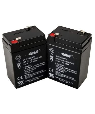 Casil 6V 4Ah Replacement Battery Compatible with Leoch DJW6-4.5WL, LP6-4 2 Pack