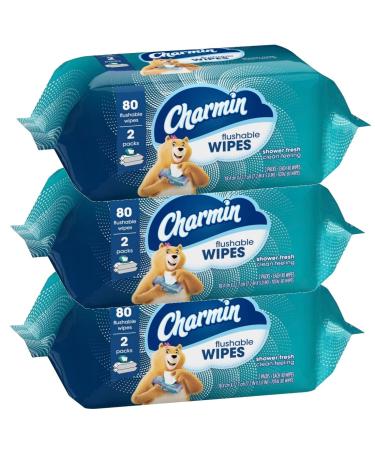 Charmin Freshmates Flushable Wipes Refillable Tub, 40ct (Pack of 6) - Buy Online on GoSupps.com