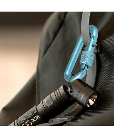 Leiptes 10-Piece Colorful Aluminum Carabiner Set with Screw Cap Perfect for Camping Hiking & Travel Gear - Buy Online on GoSupps.com