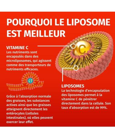 Vitamine C liposomale 1250mg - Important: Biodisponibilit et absorption maximales - 180 g lules v g taliennes de cerises d'ac rola - Green Naturals  - Buy Online on GoSupps.com