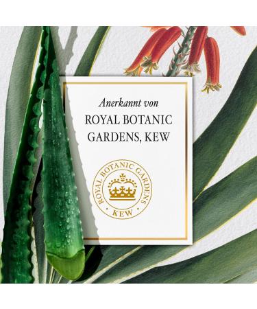 Herbal Essences Pure Renew Frizz Control Hair Oil with Hemp Seed Oil & Aloe Vera | Silicone-Free Hair Care for Dry Hair 100ml - Buy Online on GoSupps.com