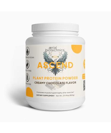 ASCEND Plant Protein (Chocolate)