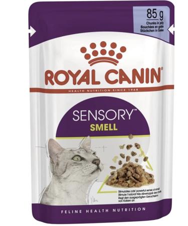 Royal Canin Sensory Smell in Jelly Wet Cat Food 85g (Pack of 48)