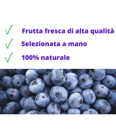 Head Service Chef Service Bevofrutta 100 organic blueberries 6 pieces of 210 ml - Buy Online on GoSupps.com