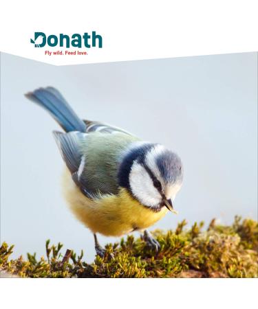 DONATH Energy Dumplings - Hemp Wild Bird Feed - 100g 6 Pack - Premium German Manufactory - Buy Online on GoSupps.com