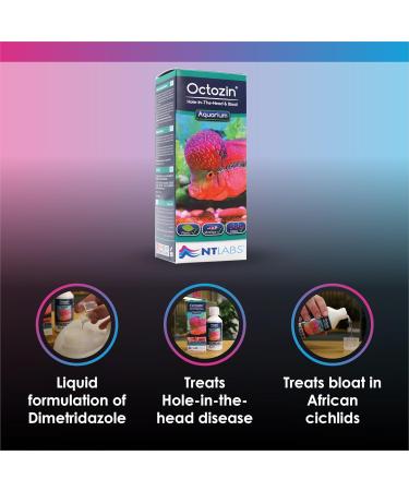 NT Labs Octozin Hole in the Head & Bloat Treatment - Treats Aquarium Fish with Bloat - 250ml - treats 3 day course of 375L - Buy Online on GoSupps.com