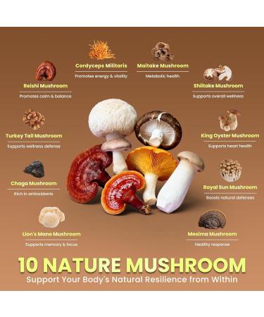 B BEWORTHS Mushroom Hot Cocoa 10 - Blend Mushroom Extract Complex with Sleep Support Formula Ashwagandha L-Theanine Lemon Balm GABA Melatonin Support Fall Asleep and Stay Asleep 30 Servings - Buy Online on GoSupps.com