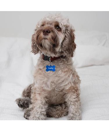 Custom Engraved Blue Dog Tag Bone - Large 38mm | ENGRAVO with 2 Key Rings - International Shipping Available - Buy Online on GoSupps.com