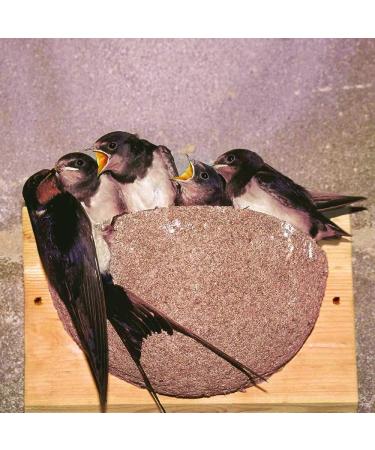 Vivara Artificial Nesting Box for Barn Swallows - Wood Concrete & Wood | International Shipping - Buy Online on GoSupps.com
