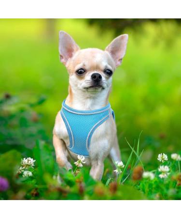 Heele Small Soft Dog Dishes & Adjustable Puppy Harness - Safe Air Mesh Vest for Walking Running & Training - Reflective Sky Blue XS - Buy Online on GoSupps.com