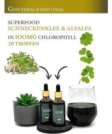 Buy Hellonutrition High-Dose Chlorophyll Drops - Vegan Alfalfa Extract Elixir | 50ml - Natural Green Miracle for Men & Women - Fast International Shipping - Buy Online on GoSupps.com