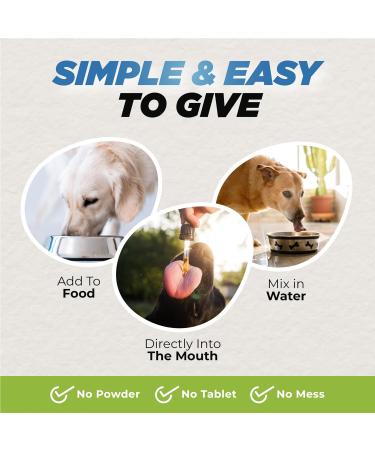 Dog Pain Relief Liquid - Natural Fast-Acting Formula for Joint Pain and Inflammation Made with Organic Ingredients Safe for All Breeds - Buy Online on GoSupps.com