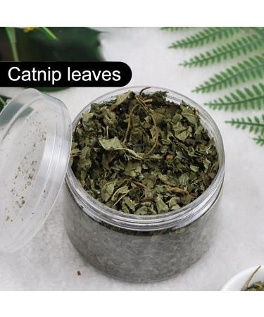 Sysdisen Cat Mint Premium Organic Cat Mint Natural Catnip Organic Dried Ground Catnip Cat Snacks for Teeth Cleaning - Buy Online on GoSupps.com