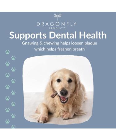 Dragonfly Beef Scalp Dog Chews 250g | Grain-Free & Long Lasting | Non-Rawhide Alternative | Natural Raw Treat Stick for Medium to Large Breeds - Buy Online on GoSupps.com