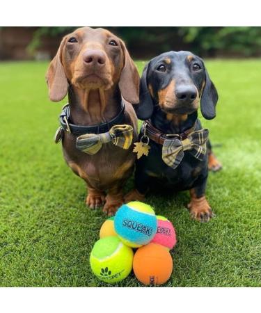 SPORTSPET Tennis Balls for Dogs - Extra Bouncy - Non Toxic - Durable - Long Lasting - Floats (Squeak Tennis Balls (12 Pack)) - P/T/A - Buy Online on GoSupps.com