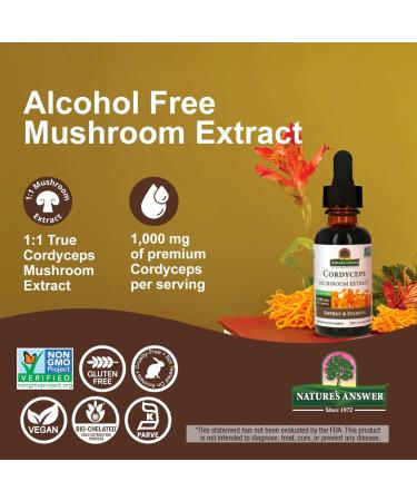 Nature's Answer Cordyceps Mushroom Extract Alcohol Free 1 fl oz (30 ml) - Buy Online on GoSupps.com