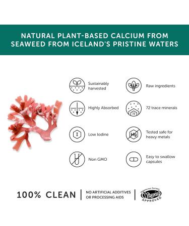 Calcium Together Health Seaweed-Based Calcium 72 Trace Minerals Vegan Friendly Made in The UK Pack of 10 600 Vegecaps Unflavoured 10 count (Pack of 1) - Buy Online on GoSupps.com