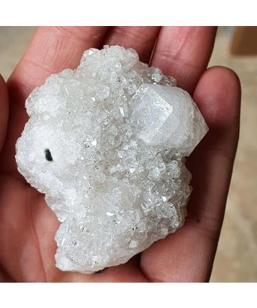 Home Decoration 50g-300g Natural Ra Crystals Apophyllite Stone Cluster Rough Stone Specimen Crystal Zeolite for Home Decoration 1pcs Stones ZJGIDTEM (Size : 270-300g) - Buy Online on GoSupps.com