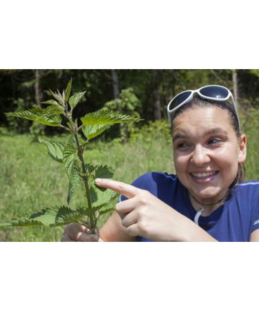 Health Embassy Stinging Nettle Leaf | Urtica Dioica L | Herbal Tea (100g) - Buy Online on GoSupps.com