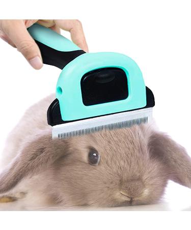 SunGrow Deshedding Brush for Short-Haired Pets - 2.5 Stainless Steel Blade Comb for Dogs, Cats, Puppies, Kittens, and Small Animals - Grooming Tool for Shedding Control - Buy Online on GoSupps.com