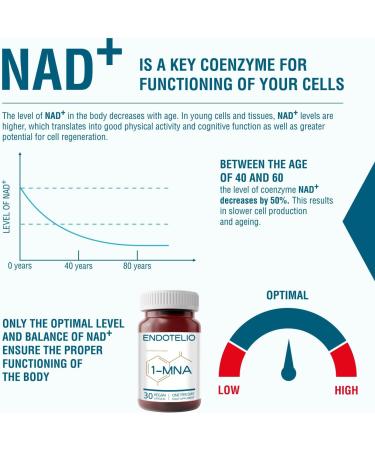 Endotelio 1-MNA Anti-Aging Supplement Optimizes NAD+ Biohacking Cell Health Support Scientifically Formulated with Enhanced Bioavailability 30 Capsules - Buy Online on GoSupps.com