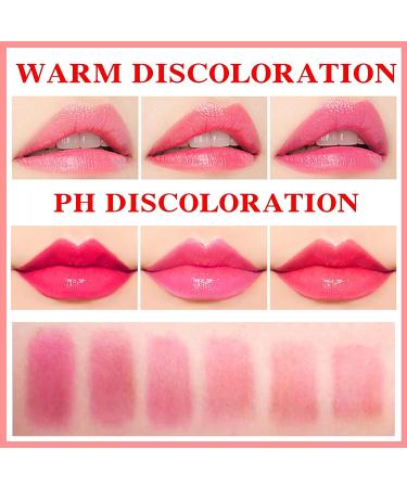 3PCS Aloe Vera Lipstick Set | Long-Lasting Nutritious Lip Balm | Moisturizing Lip Gloss | Color Changing & Waterproof Lip Makeup - Buy Online on GoSupps.com