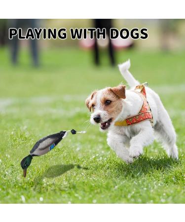 MR.HOKWY Dog Training Duck Dummy- EVA Material Trainer with Throwing Toggle Dog Retrieval Training Toys Bird Dummy Mallard Mimics Duck Bumper Toy for Puppies or Adult Hunting Dogs - Buy Online on GoSupps.com