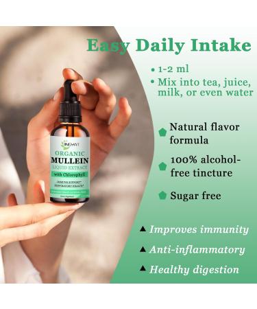 Mullein Drops for Lungs - Immune Support Detox & Respiratory Aid | Non-GMO Gluten-Free 2 Fl Oz - Buy Online on GoSupps.com