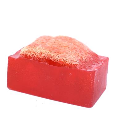 Luffa Soap Bar (4.5oz) - Verbena and Berries - Exfoliating Soap Handmade Glycerin soap - Falls River Soap