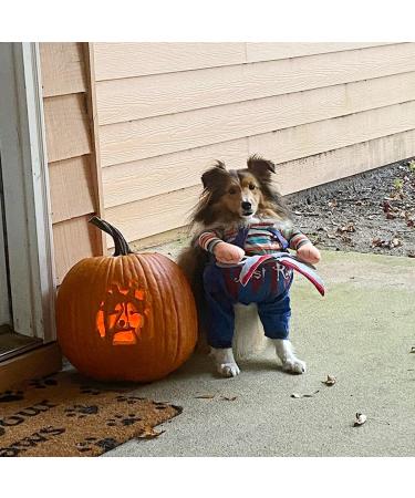 Delifur Halloween Costumes for Dogs & Cats | Scary Animal Costumes | Large Size & Fun Accessories - Buy Online on GoSupps.com
