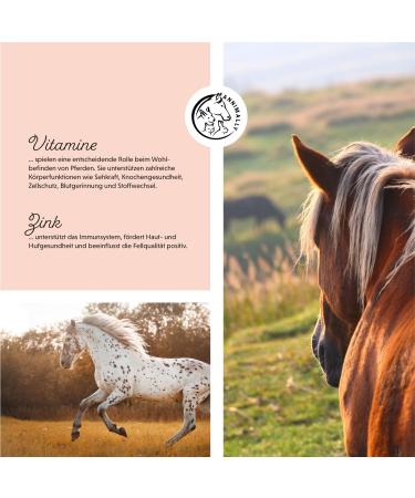Annimally Multi Vital Powder for Horses - 550g Multivitamin with Vitamin B Complex Immune Support Vitamins A D3 E & Essential Nutrients - Buy Online on GoSupps.com