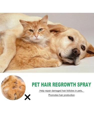 Cat Detangler Spray for Matted Hair Leave In Hair Conditioner Spray Pet Supplies for Dogs Cats Matted Hair Encourages Hair Regrowth (30ml) Shareed - Buy Online on GoSupps.com