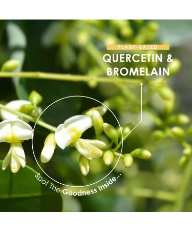Plant-Based Quercetin 800mg & Bromelain 396 GDU with BioPerine - Made from from Sophora Japonica Extract (Quercetin) & Pineapple (Bromelain) - 60 Caps 60 count (Pack of 1) - Buy Online on GoSupps.com